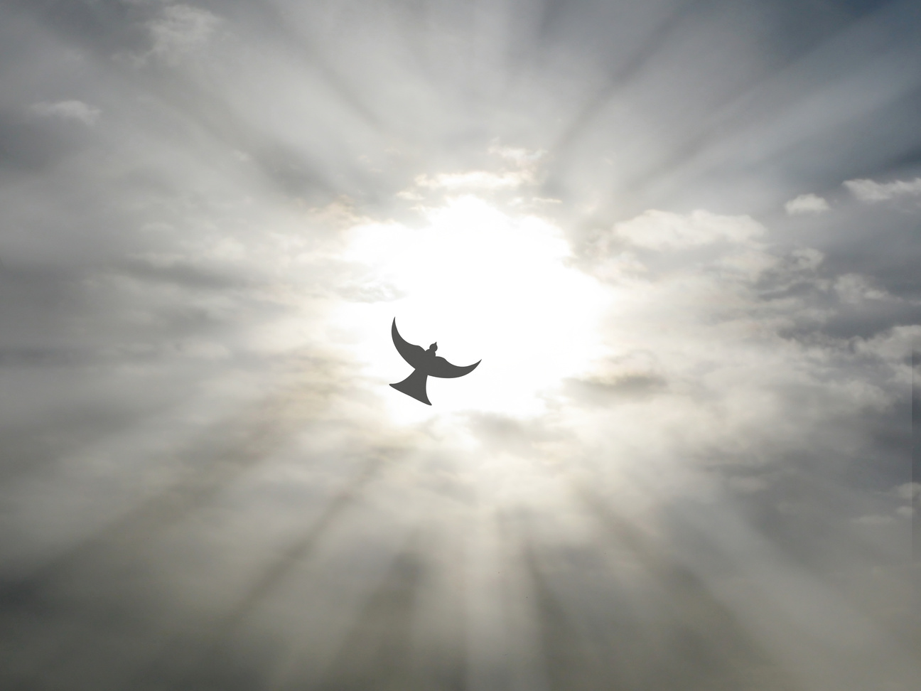 easter holy spirit peace dove flying sky clouds sun rays